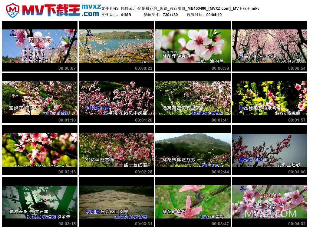 悠悠朵儿-情随桃花醉_国语_流行歌曲_MB103486